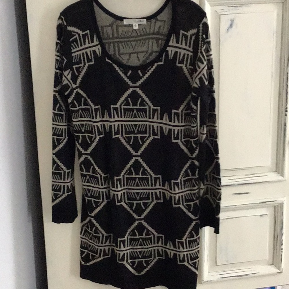 Long sweater or dress.